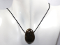 Preview: Labradorit mit Band oder Silber 925