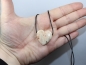 Preview: sunstone with cord or silver 925