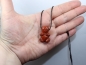 Preview: red jasper with cord or silver 925