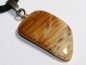 Preview: petrified palm wood with cord or silver 925