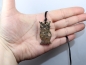 Preview: leopard rhyolite with cord