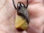 Preview: septaria with cord or silver 925