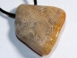 Preview: Fossilized coral on cord