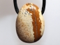 Preview: picture jasper with cord or silver 925