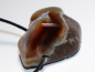 Preview: fire agate with cord or silver 925