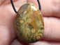 Preview: rainforest rhyolite with cord or silver 925