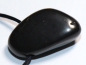 Preview: shungite with cord or silver 925