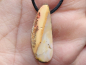 Preview: Boulder opal with cord