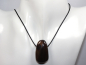 Preview: black agate with cord or silver 925