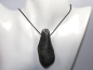 Preview: black coral with cord or silver 925