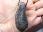 Preview: black coral with cord or silver 925