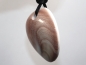 Preview: operculum with cord