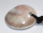 Preview: operculum with cord