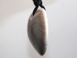 Preview: operculum with cord