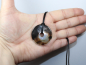 Preview: abalone shell with cord