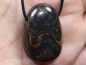 Preview: stromatolite with cord or silver 925