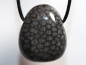 Preview: gray coral with cord or silver 925