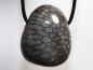 Preview: gray coral with cord or silver 925
