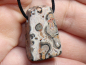 Preview: leopard rhyolite with cord or silver 925