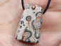 Preview: leopard rhyolite with cord or silver 925