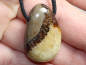 Preview: septaria with cord or silver 925