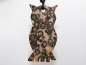Preview: leopard rhyolite with cord