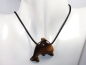 Preview: tiger's eye with cord or silver 925