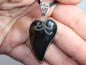 Preview: abalone shell with cord or silver 925