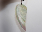 Preview: nacre with cord or silver 925