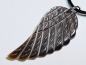 Preview: nacre with cord or silver 925