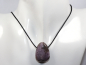 Preview: lepidolite with cord or silver 925