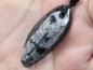 Preview: orthoceras with cord