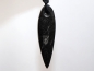 Preview: orthoceras with cord