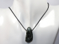 Preview: seraphinite with cord or silver 925