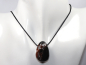 Preview: Sardonyx mit Band oder Silber 925