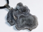 Preview: chalcedony with cord or silver 925