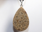 Preview: fossilized coral with cord or silver 925