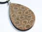 Preview: fossilized coral with cord or silver 925