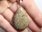 Preview: fossilized coral with cord or silver 925