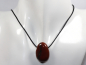 Preview: sardonyx with cord or silver 925