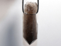 Preview: smoky quartz with cord or silver 925