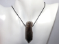 Preview: smoky quartz with cord or silver 925