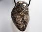 Preview: Turritella agate with cord or silver 925
