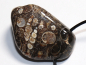 Preview: Turritella agate with cord or silver 925