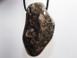 Preview: Turritella agate with cord or silver 925