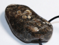 Preview: Turritella agate with cord or silver 925