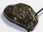 Preview: Turritella agate with cord or silver 925