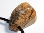 Preview: picture jasper with cord or silver 925