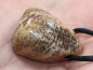 Preview: picture jasper with cord or silver 925