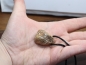 Preview: picture jasper with cord or silver 925